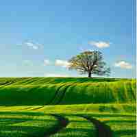 php源﻿码‍免‌费​下​载‍